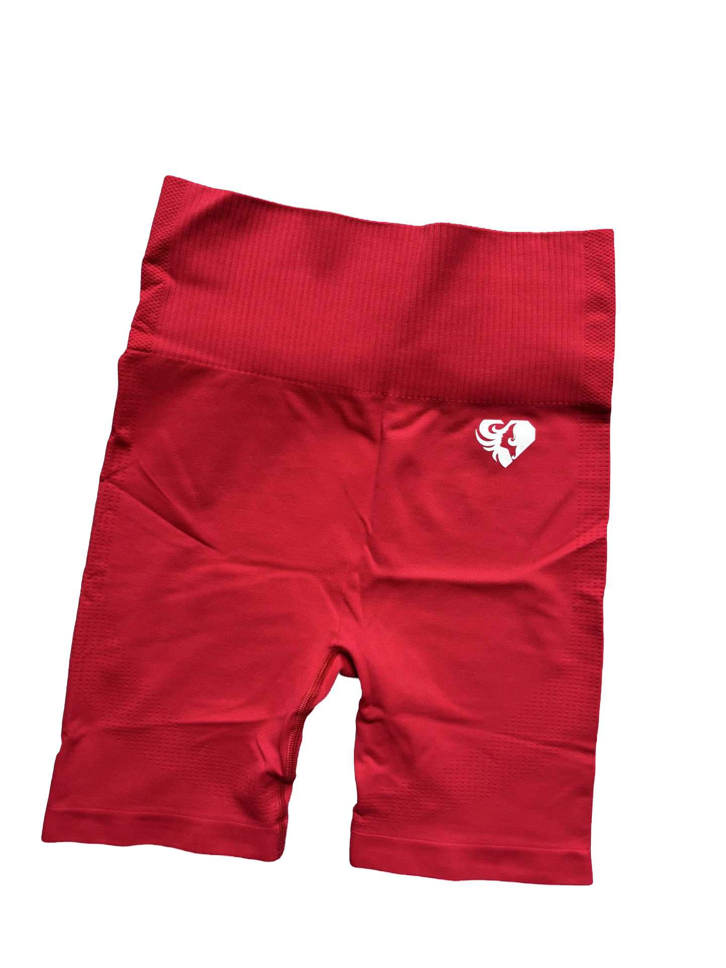 BEST Cycling Shorts